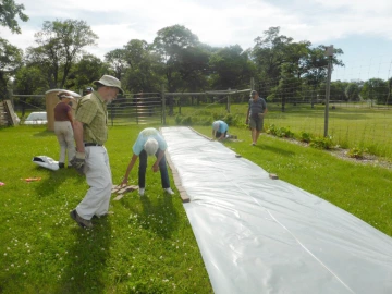 Community garden solarization in Cambridge, MN.